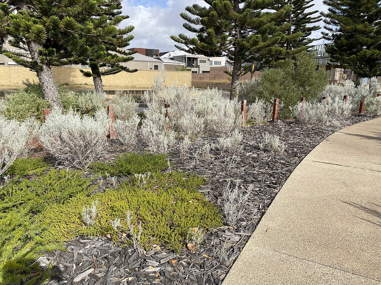 A woman in a white linen jumpsuit walks past a palm‑lined Collins Avenue storefront, early morning light glinting on the ocean.