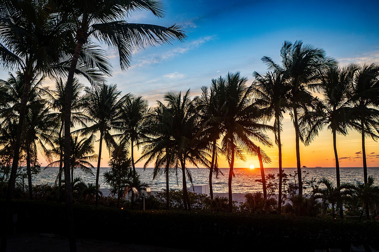 A woman in a wide-brimmed straw hat walks along a quiet stretch of Miami Beach with turquoise water and palm trees.